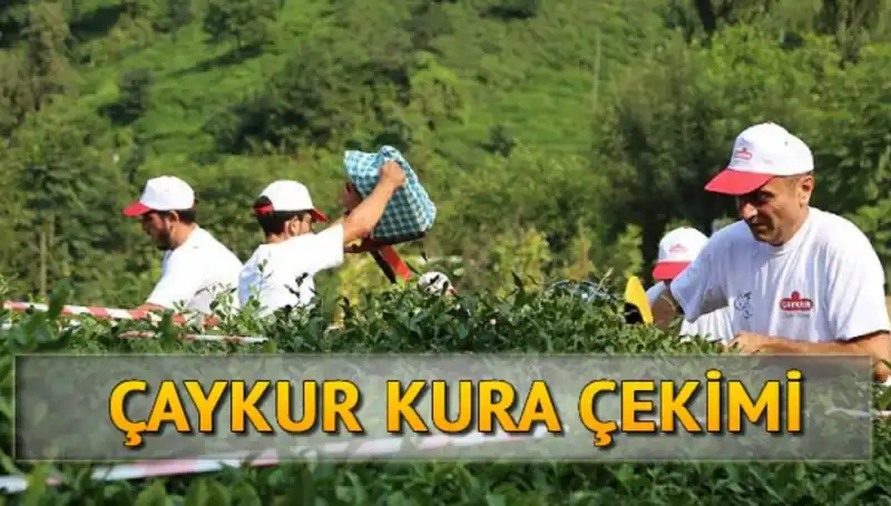 Çaykur Canlı Kura Sayfası: İsimleri Neden ve Nasıl Öğrenmelisiniz?
