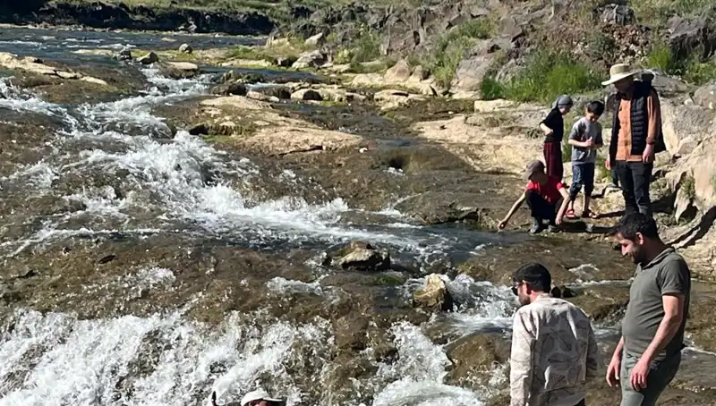 İnci Kefali Göçü: Doğa Harikası ve Turistlerin Gözdesi
