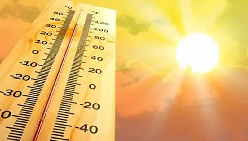 Meteoroloji'den Son Tahmin: Soğuk Hava Dalgası Geliyor!