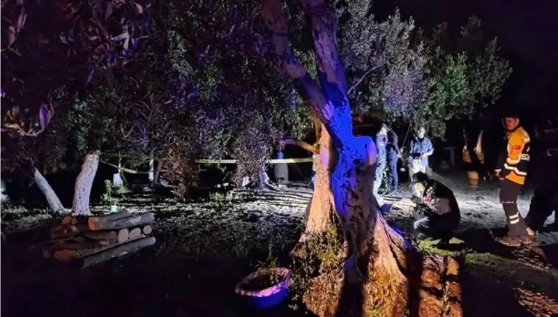 Çiftlikteki Baltalı Vahşette Şok Gelişme: Bir Tutuklama Gerçekleşti