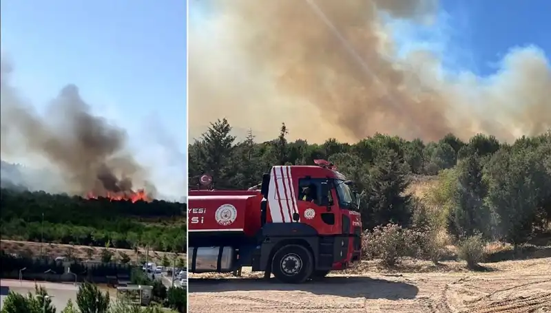 Gebze'de Orman Yangını: Doğa Tahribatı ve Müdahale Süreci