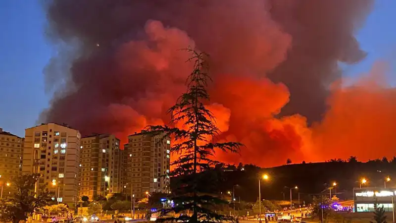 Bursa'da Yangın Felaketi: Şehir Alevler İçinde Kaldı
