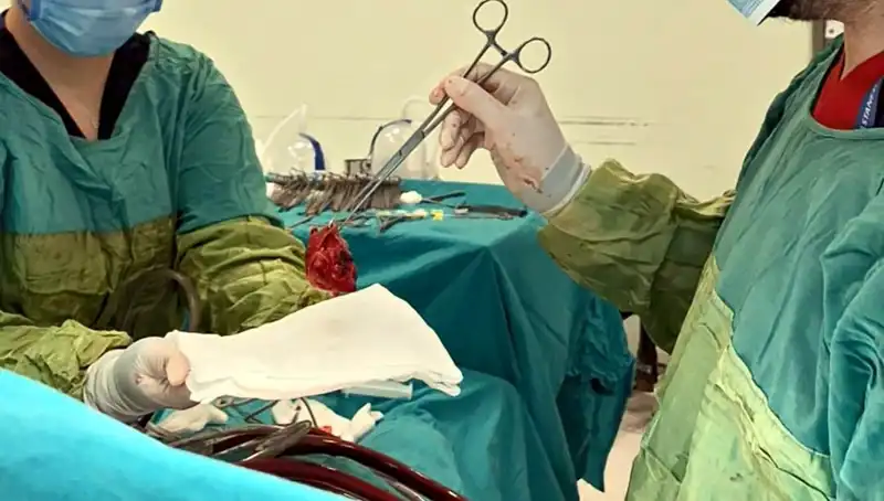 Kalp Kapağı Çürüyen Hastaya 7 Saatlik Ameliyat: Doktorlardan "Mucize" Değerlendirmesi