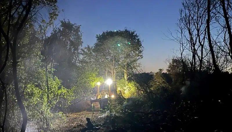 Edirne'deki Orman Yangını Söndürüldü: Doğanın Kalbi Yeniden Canlanıyor!
