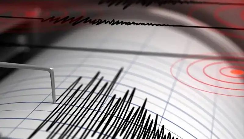 Manisa'da Aniden Meydana Gelen 4 Büyüklüğündeki Deprem Neleri Etkiledi?