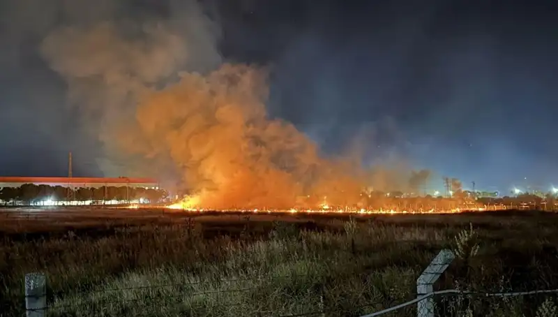 İzmir'de Gece Yarısı Çıkan Yangın, Şehirde Panic Yarattı!
