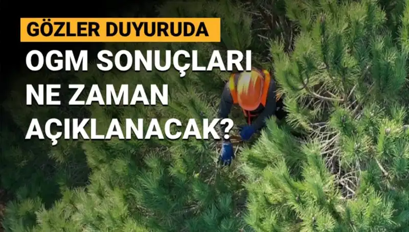 OGM Personel Alımı 2023: 3 Bin 477 Sözleşmeli Pozisyon İçin Başvuru Süreci!