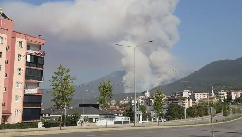 Denizli Orman Yangını: Şüpheli Gözaltında, Halk Endişeli