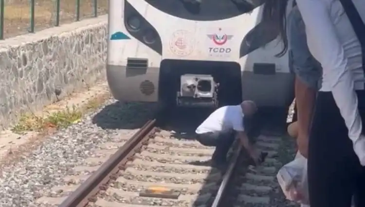Marmaray'da Bir Kedi Drama Yol Açtı: Makinistin Kahramanlığı Herkesi Etkiledi