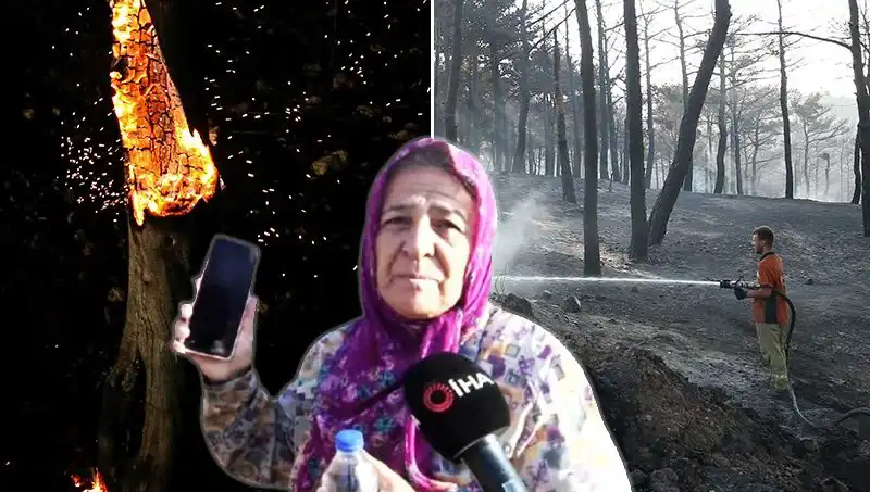 Çanakkale'de Yangın Mücadelesi Sonuçlandı: Hayvanlar ve Doğa Kurtarıldı