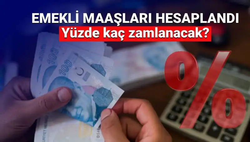 Emekli Zammı Beklentileri 2024: SSK, Bağ-Kur ve Emekli Sandığı Zammı Ne Olacak?