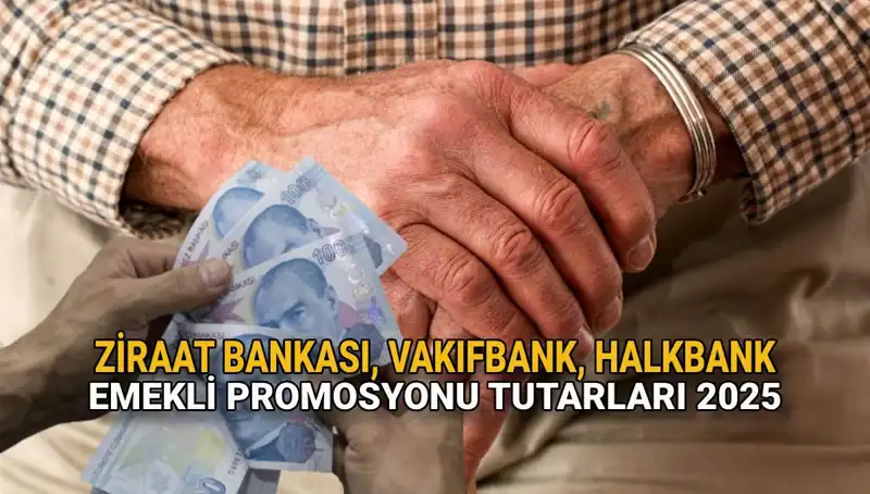 2025'te Emeklilere Özel Kamu Bankası Promosyonları: Ziraat, VakıfBank ve Halkbank Fırsatları
