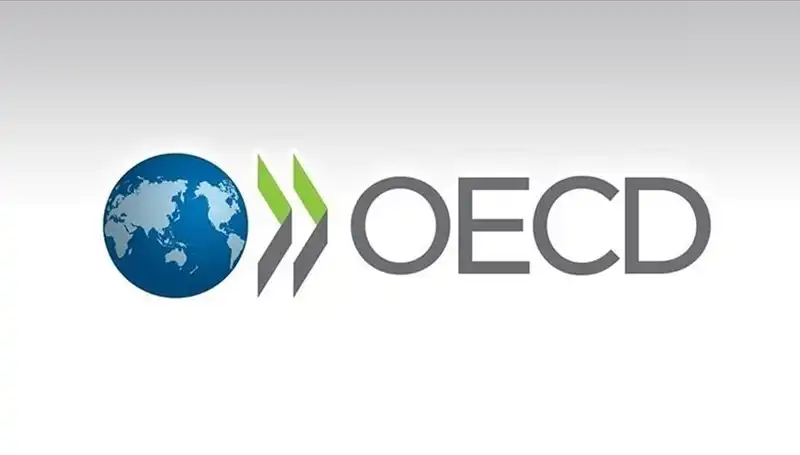 OECD, Türkiye'nin Ekonomik Büyüme Tahminini Yeniden Revize Etti