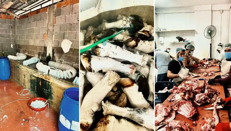 Adana’da Şok Edici Görüntüler: Yüzlerce Kilo Paça Ele Geçirildi!