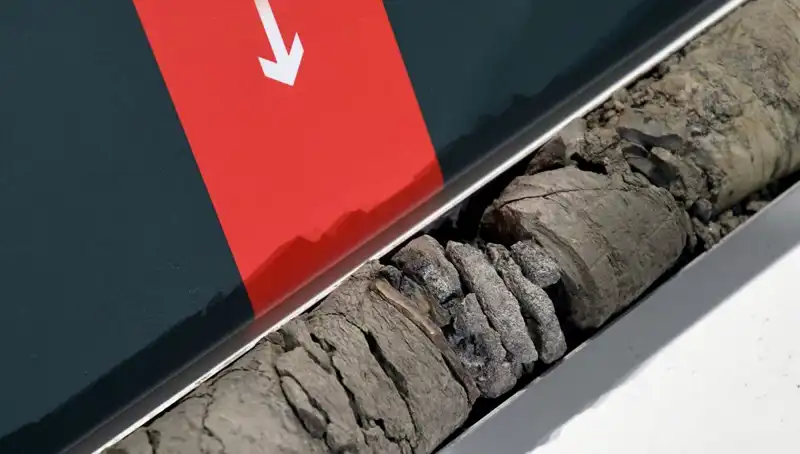 Müze Otoparkında Tarihi Keşif: Dinozor Fosili Ortaya Çıktı