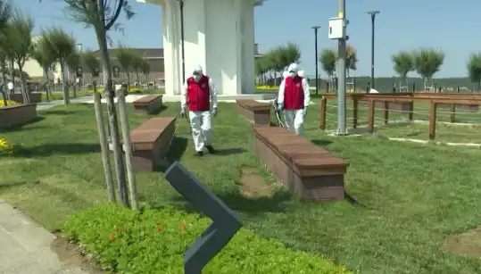 Kene Görülme Sıklığı Artıyor: Halka Açık Yerlerde İlaçlama Süreci Başlatıldı