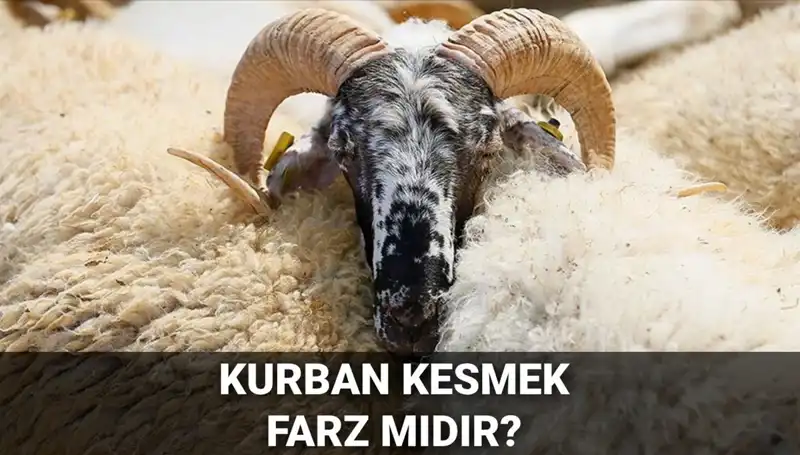 Diyanet’e Göre Kurban Kesmenin Farz Olup Olmadığı ve Şartları
